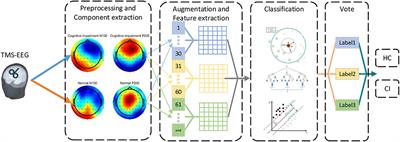 Classification of Cognitive Impairment and Healthy Controls Based on Transcranial Magnetic Stimulation Evoked Potentials